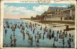 In the Surf, Walnut Beach In the Surf, Walnut Beach