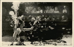 Mermaid Feeding Fish of Underwater Theatre Mermaid Feeding Fish of Underwater Theatre