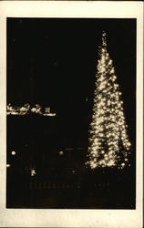 Christmas Tree Lights Christmas Tree Lights