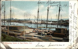 Shipping Scene at San Pedro California Postcard Postcard Postcard