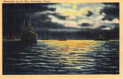 Moonlight On The Bay Moonlight On The Bay