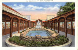 The Aquarium The Aquarium