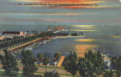 Previous Card