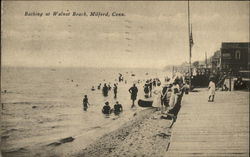 Bathing at Walnut Beach Bathing at Walnut Beach