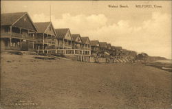 Looking Along Walnut Beach Looking Along Walnut Beach