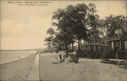 Walnut Beach Front Walnut Beach Front