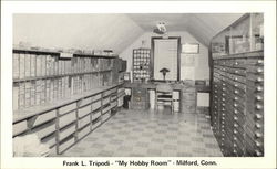 Frank L Tripodi - "My Hobby Room" Frank L Tripodi - "My Hobby Room"