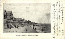 Walnut Beach Walnut Beach
