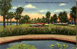Floral Vista In Tropical Waterfront Park