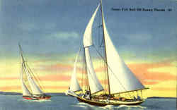 Under Full Sail Off Sunny Florida