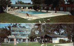 Kentucky Colonel Hotel Court Bradenton, FL Postcard Postcard Postcard