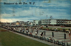 Shuffleboard Courts and Rio Motel Shuffleboard Courts and Rio Motel