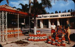 Now! Try - Ferris Oranges Now! Try - Ferris Oranges