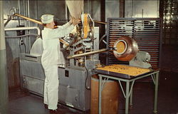 Lederle Laboratories, American Cyanamid Co. Lederle Laboratories, American Cyanamid Co.