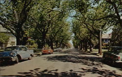 Alameda's Residential Areas Alameda's Residential Areas