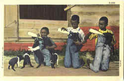 Black Children - Feeding Pigs