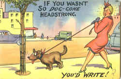 If You Wasn't So Dog -Gone Headstrong