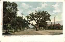 Orange Grove Avenue Pasadena, CA Postcard Postcard Postcard