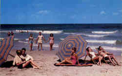 Southern Beach Scene