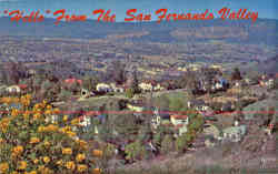 Hello From The San Fernando Valley