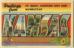 Previous Card