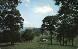 Cataloochee Ranch and Meadows Maggie Valley, NC Postcard Postcard Postcard