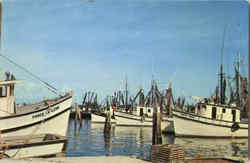 Shrimp Boats Resting Snugly In Key West Shrimp Boats Resting Snugly In Key West