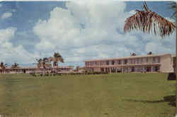 Previous Card