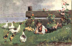 Ducks
