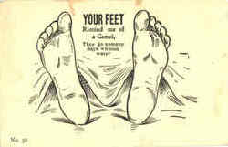 Your Feet Remind me of a Camel