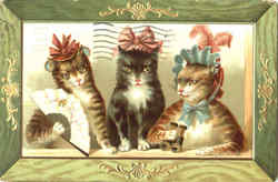 Three Cats