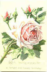 Next Card