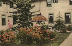 A View of Court Garden, The Islington, Les Cheneaux Islands Postcard