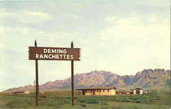 Previous Card