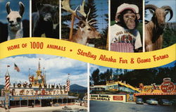 Sterling Alaska Fur & Game Farms, Inc. Lake Placid, NY Postcard Postcard Postcard