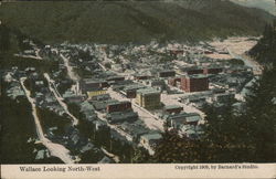 Wallace Looking North-West Postcard