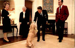 President Reagan, Bush "Fred" the Dog President Reagan, Bush "Fred" the Dog