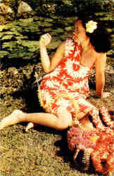 Lei Stringer