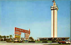 The Citrus Tower