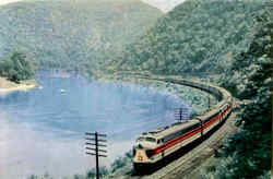 The Phoebe Snow