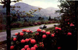 Hood Canal