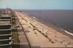 View of the Beach Virginia Beach, VA Postcard Postcard Postcard
