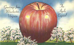 Greetings From The Apple Capitol