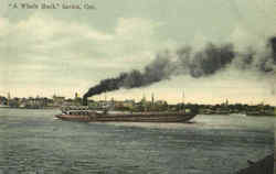 Previous Card