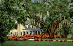 Old Southern Home Amid Old Southern Home Amid
