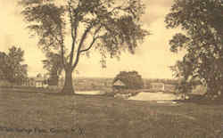 White Springs Farm White Springs Farm