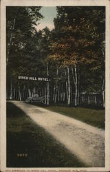The Approach to Birch Hill Hotel Postcard