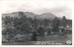 "Bill William's Mt." from U.S. 66 Postcard