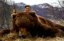 Kodiak Bear Kodiak Bear