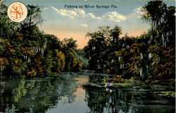 Fishing On Silver Springs